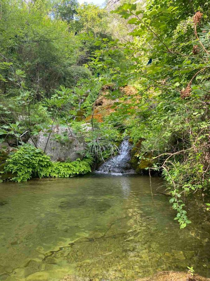 Holiday Home Pavle Rijeka Crnojevića Εξωτερικό φωτογραφία